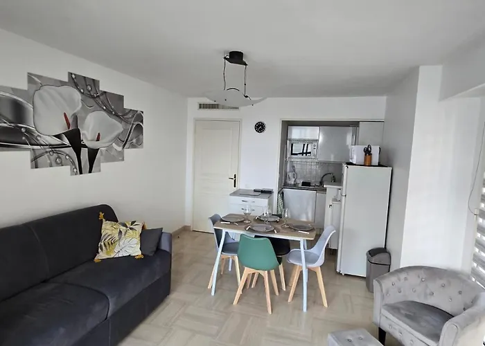 L'eden - Front De - Centre-ville - Parking Prive